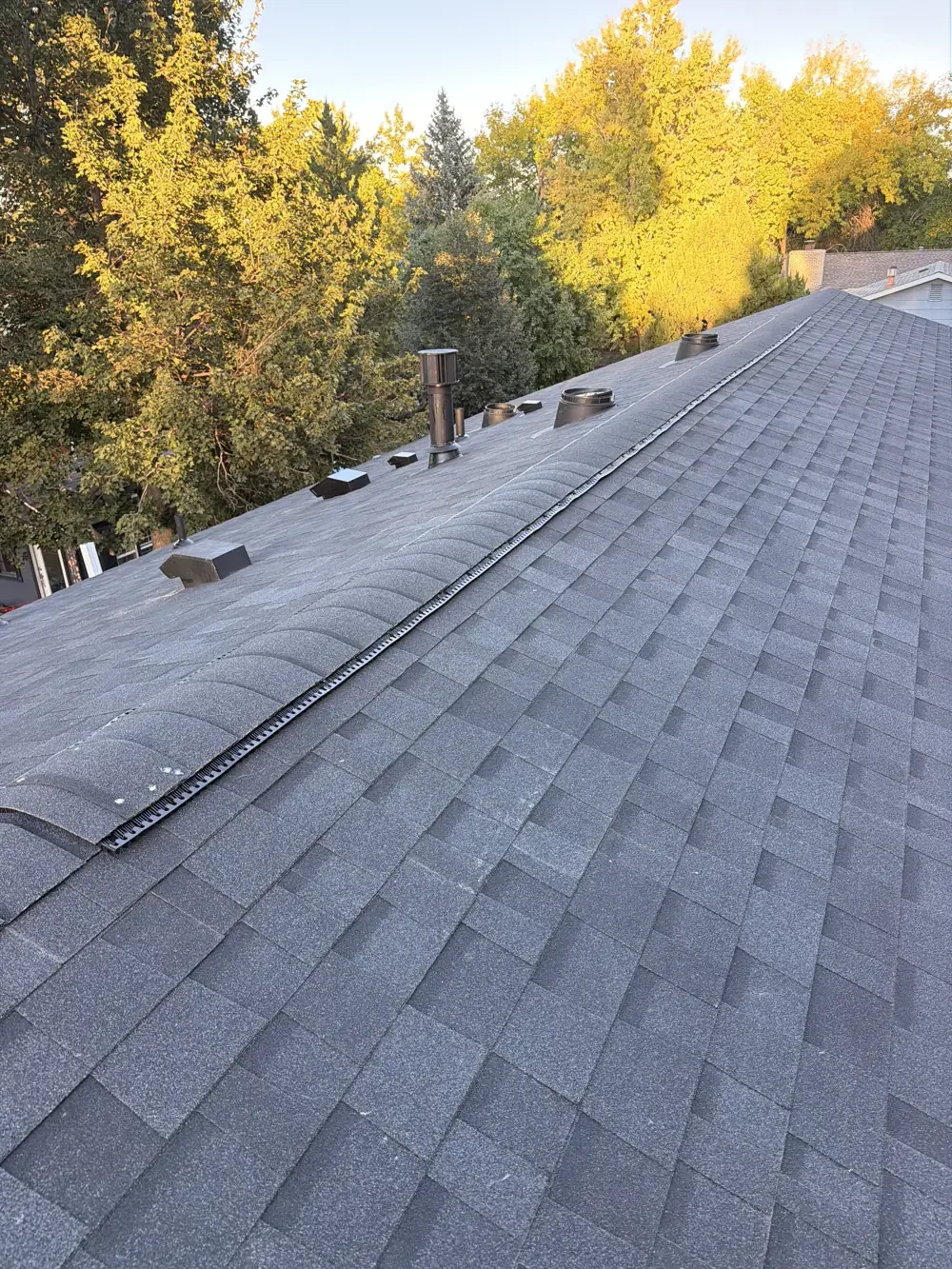 Shingle roof slopes, vents and ridge detail in Drennen's West Fort Collins project photo