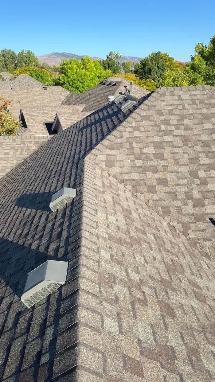 Shingle roof with a row of box vents below the ridge in Loveland, Colorado.